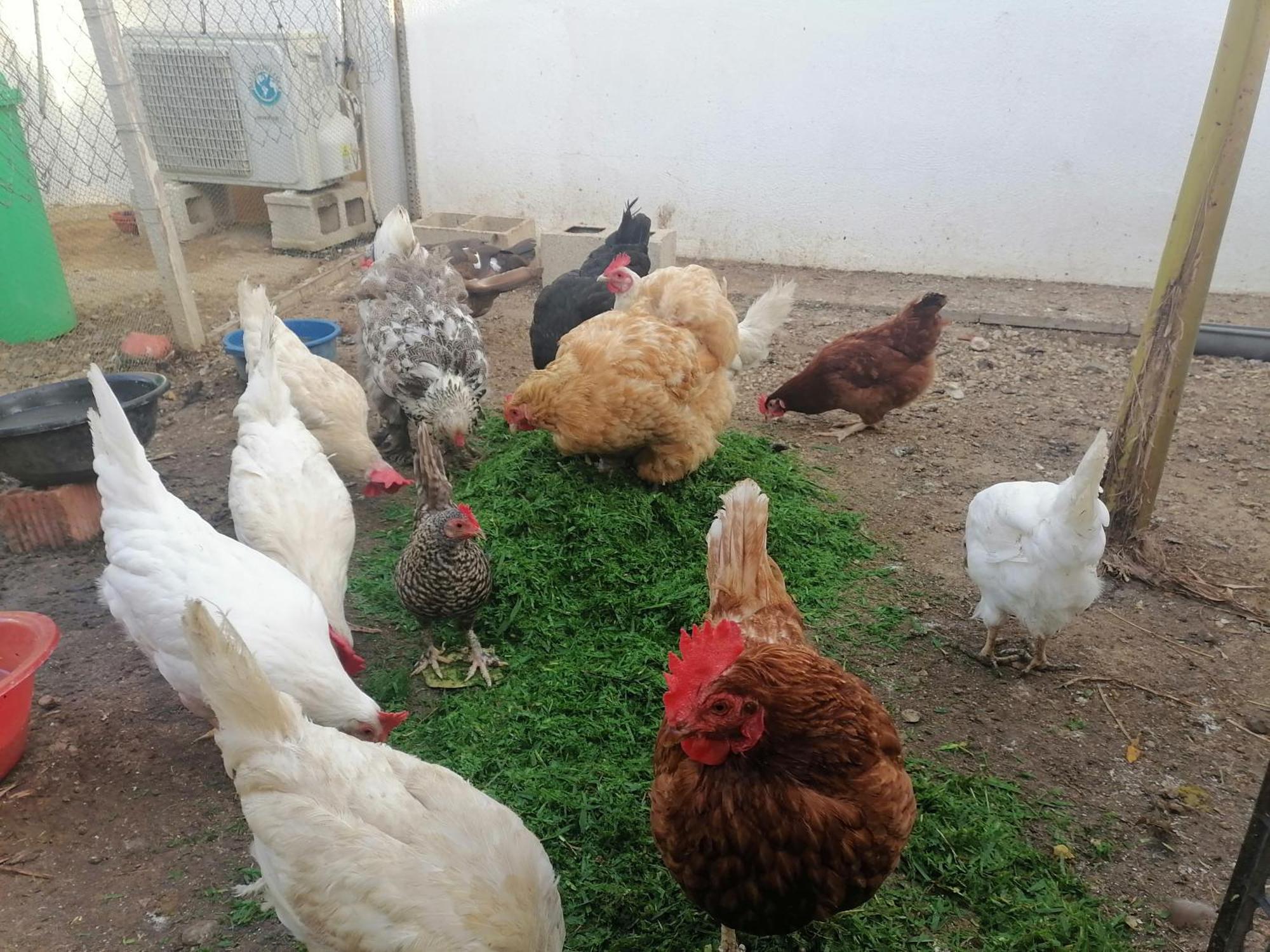 Mis Princesas En Casa Chiclana de la Frontera Extérieur photo